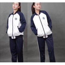 学生服装夏季运动校服D款